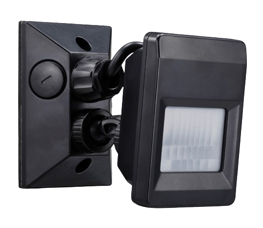 motion sensor light